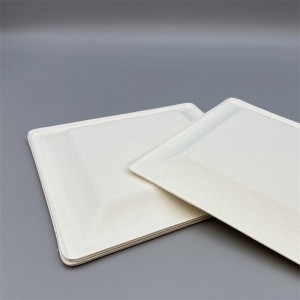 MVP-025 6inch Square Plate 4