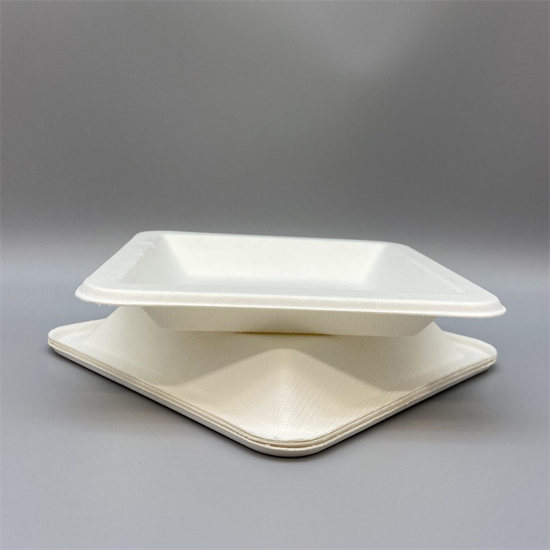 MVP-026 6.5inch Square Plate 3