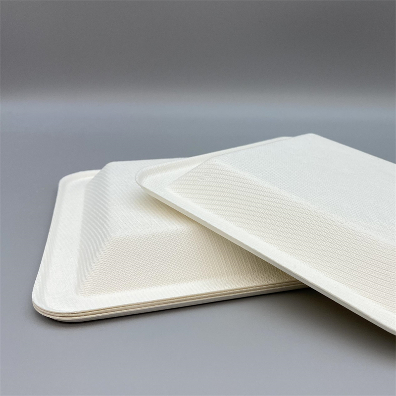 MVP-026 6.5inch Square Plate 4