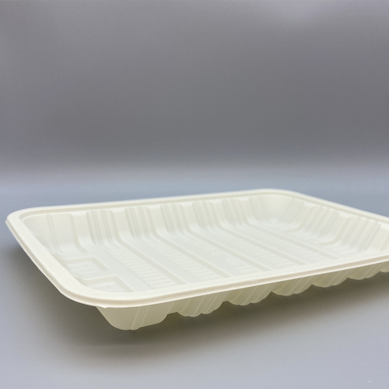 MVPC-08 food tray 3