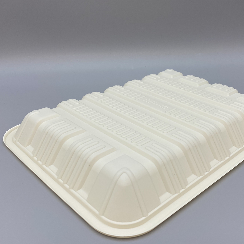 MVPC-08 food tray 4