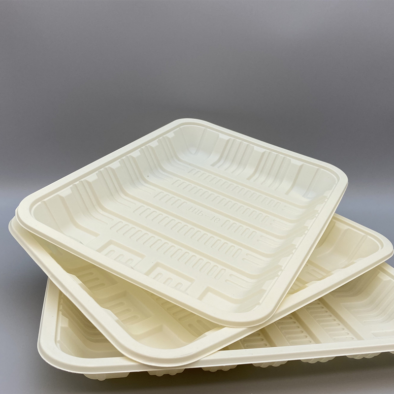 MVPC-08 food tray 5