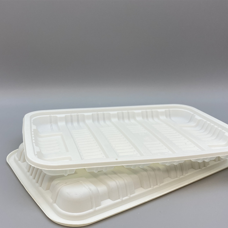 MVPC-10 food tray 3