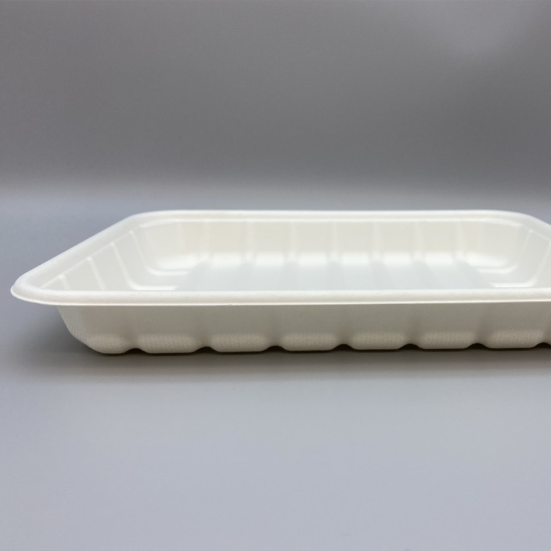 MVT-001 8inch Tray 2