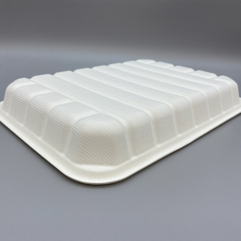 MVT-001 8inch Tray 3