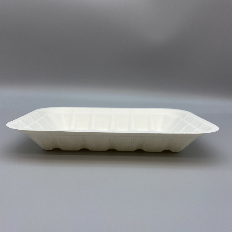 7inch Tray Sugar cane Food Tray