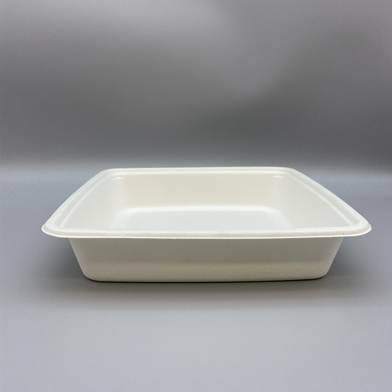 MVT-006 9inch x 9inch tray 3