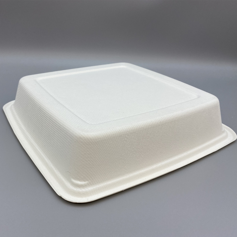 MVT-006 9inch x 9inch tray 4