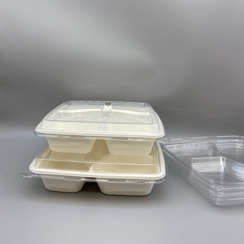 9” 4-Compartment Sugarcane Bagasse Tray | Takeaway Packaging