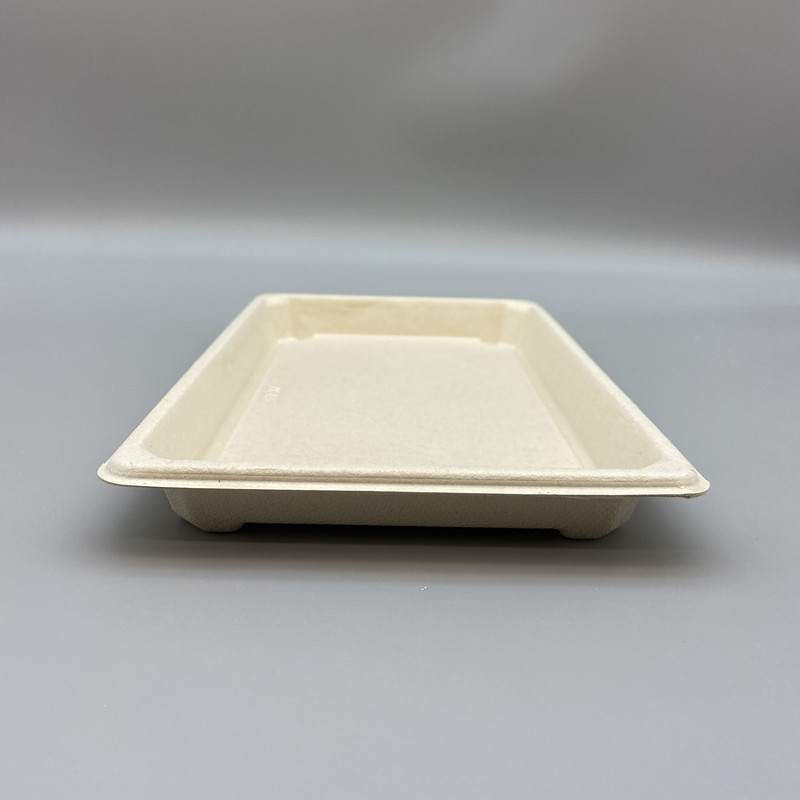 MVT-031 Sushi tray   (3)