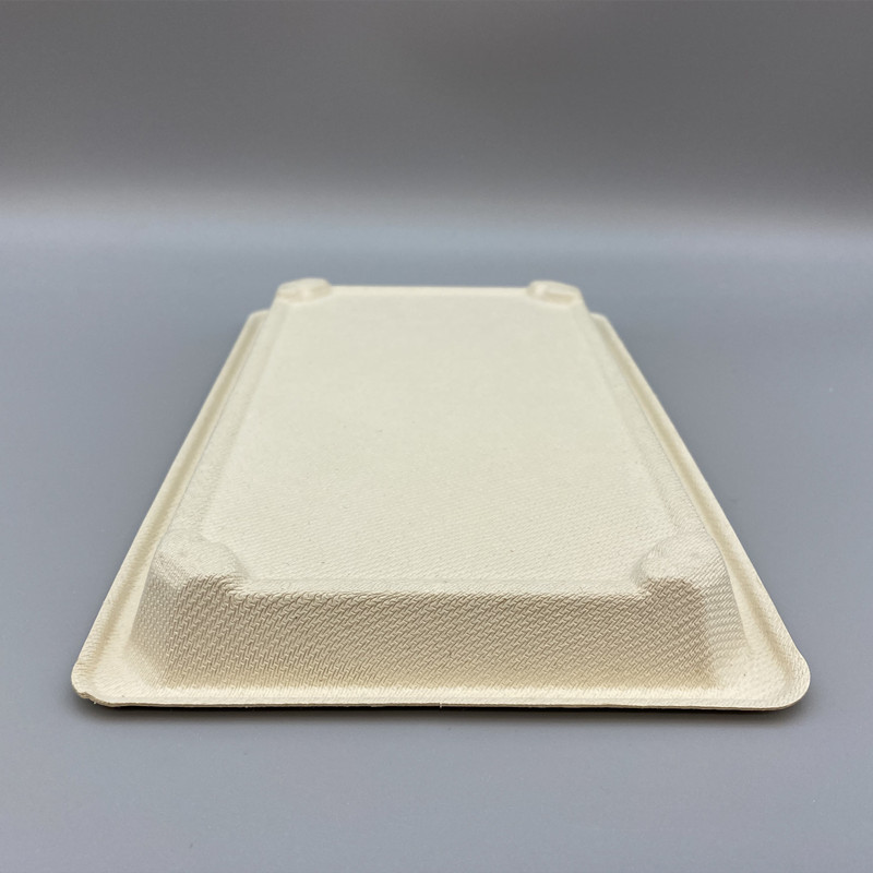 MVT-031 Sushi tray   (4)