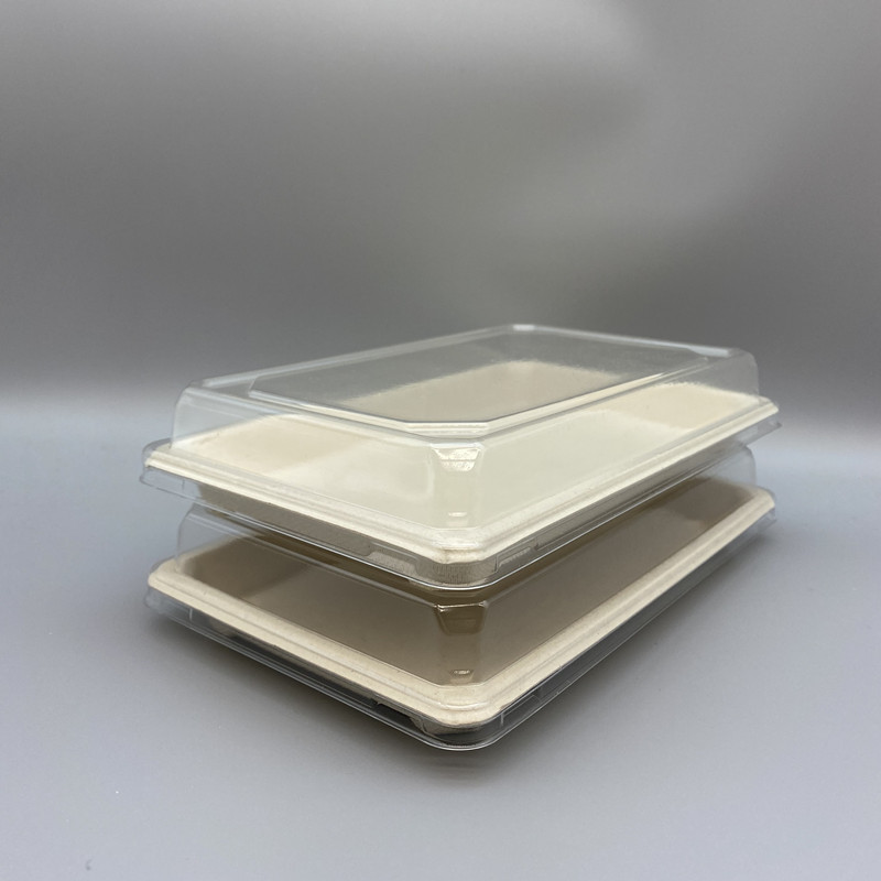 Takeaway Sushi Tray | Bagasse | Compostable Food Packaging