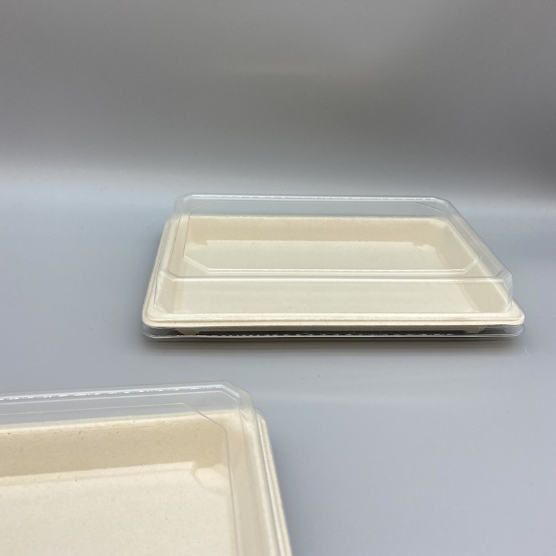 Takeaway Sushi Tray