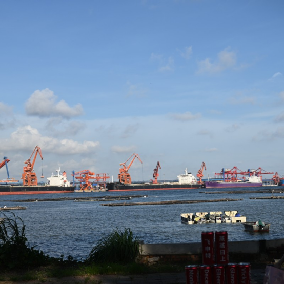 Overseas on Export Trade of MVI ECOPACK 1