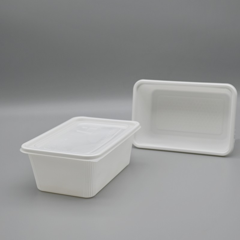 PLA 1000ml salad Square Container (1)