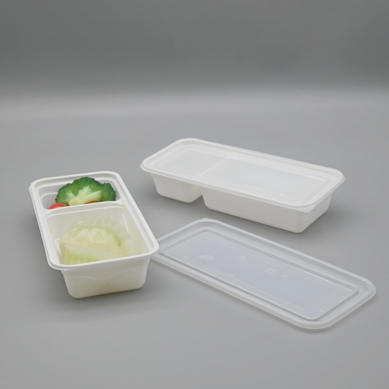 PLA 2-C rectangle food box (1)
