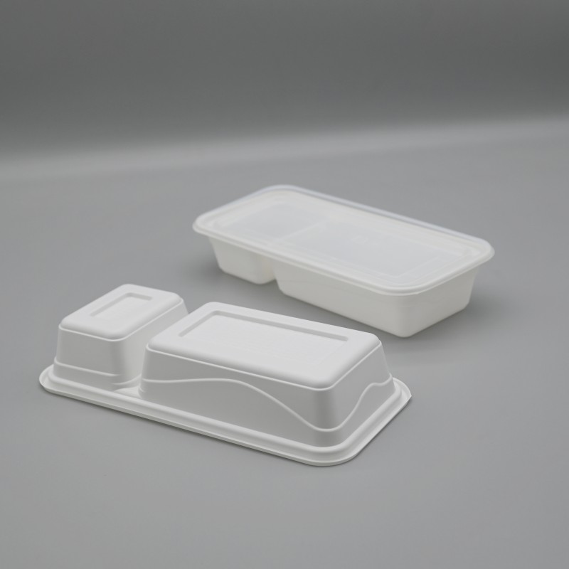 PLA 2-C rectangle food box (3)