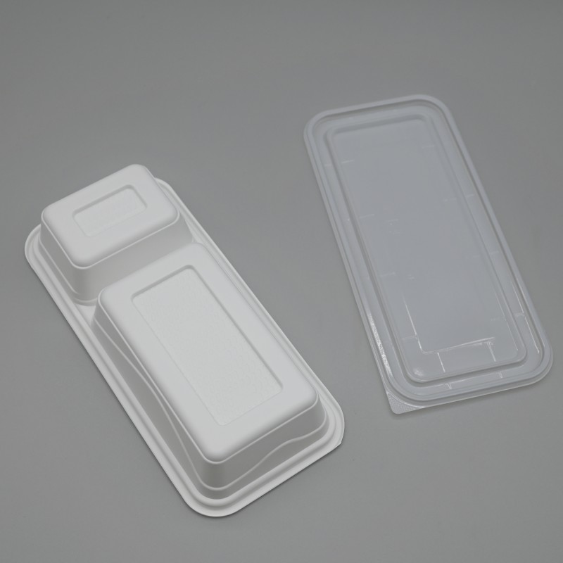 PLA 2-C rectangle food box (4)