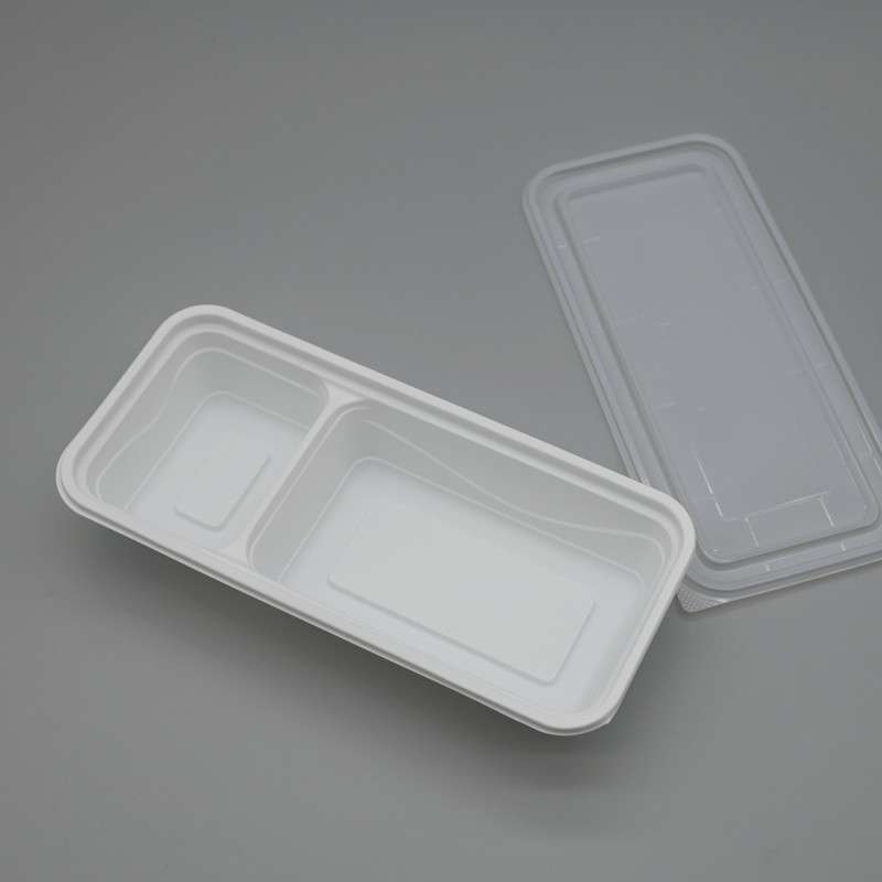 PLA 2-C rectangle food box (5)