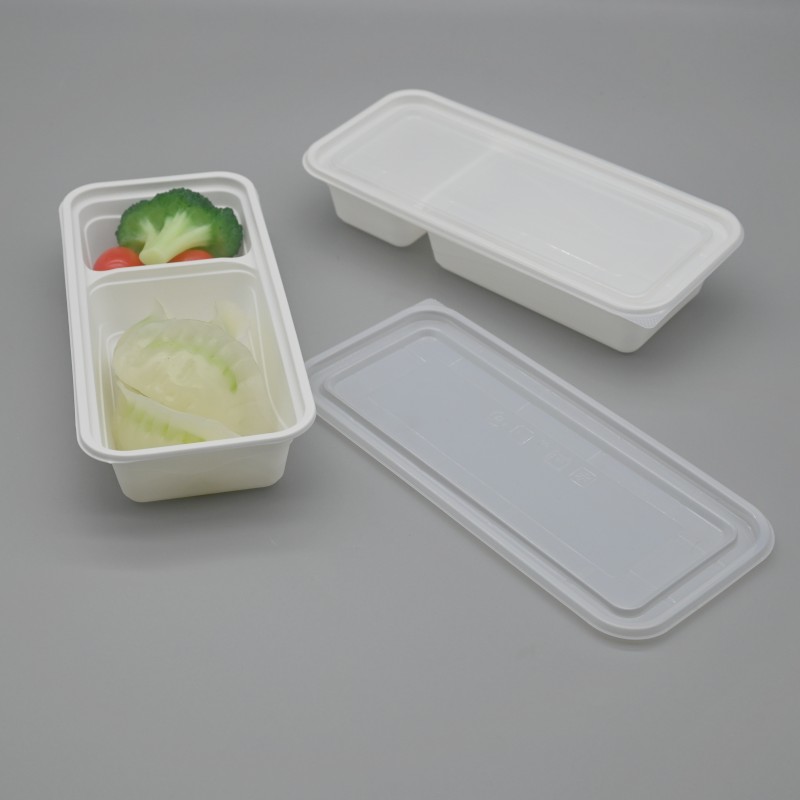 compostable PLA food retangle box dumpling/sushi container with Lid