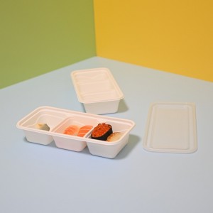 PLA rectangle 3-C lunch box 1