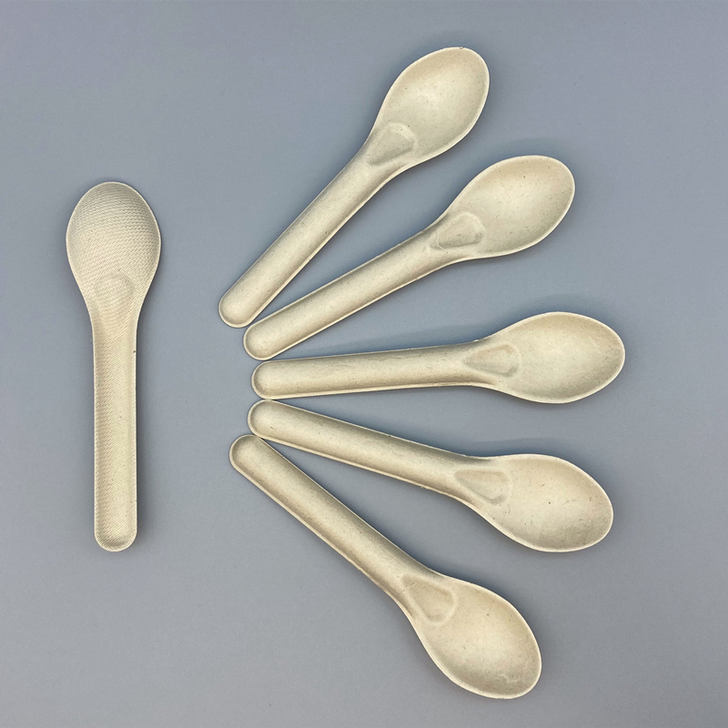 Sugarcane Cutlery