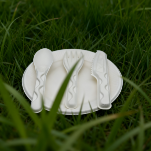 bagasse cutlery