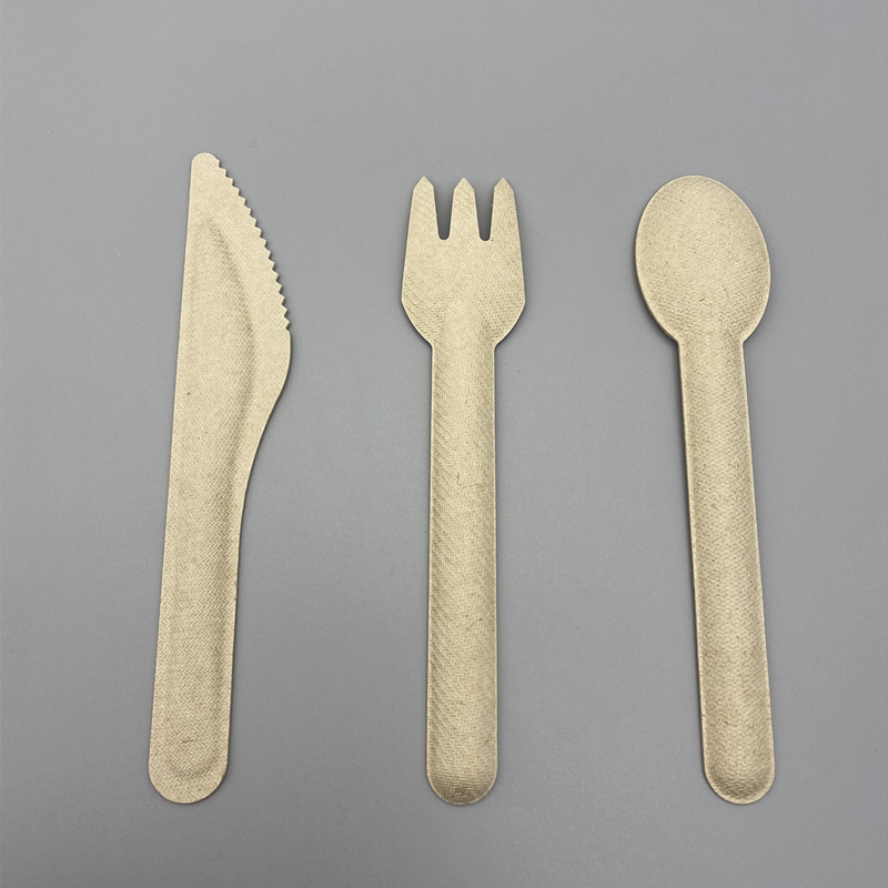 bagasse cutlery 4