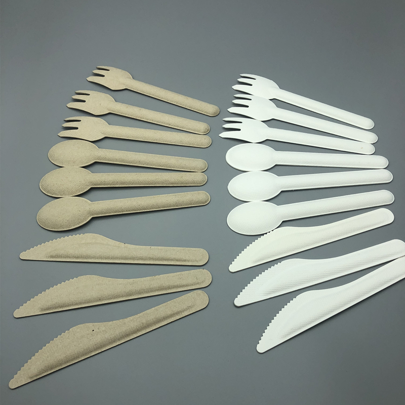 bagasse cutlery 5