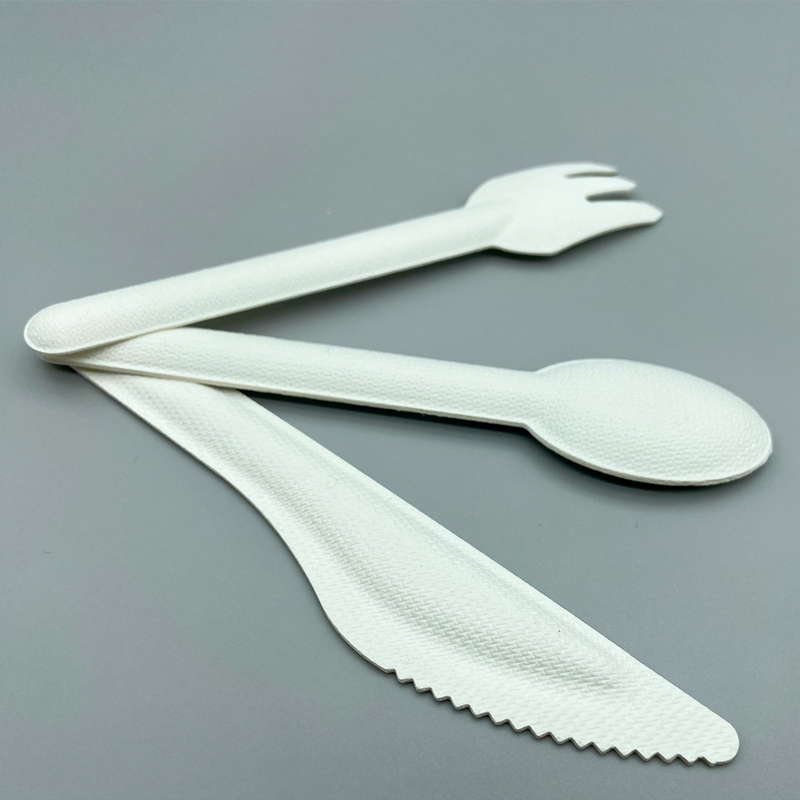 bagasse cutlery 6