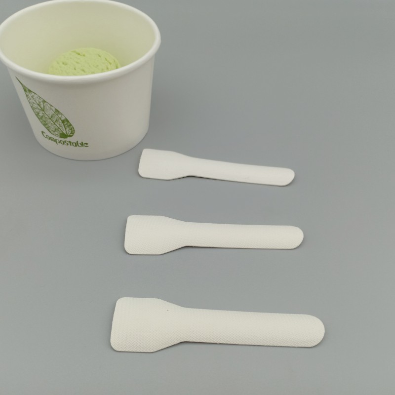 bagasse ice cream spoon (6)