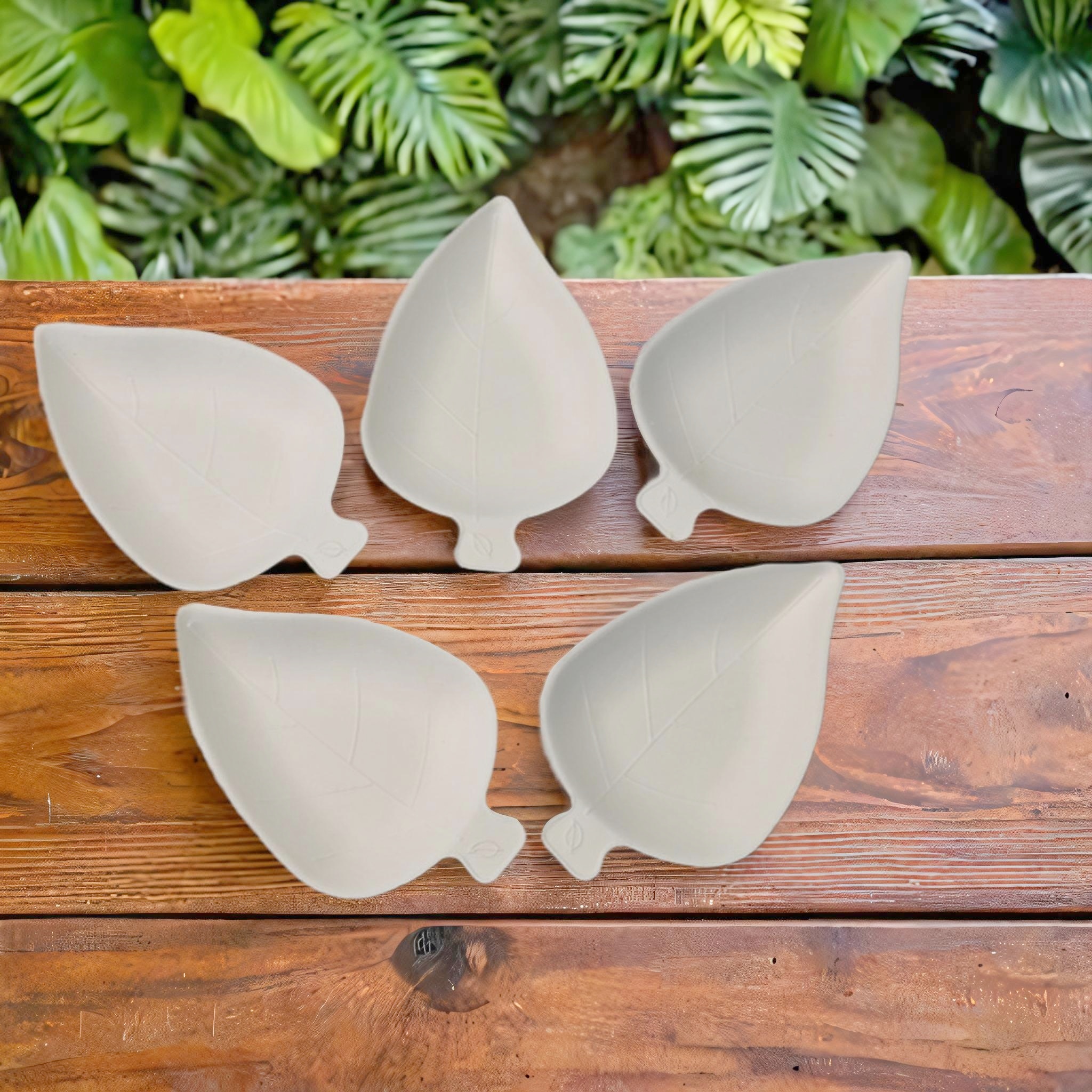 Leaf Appetizer Dishes