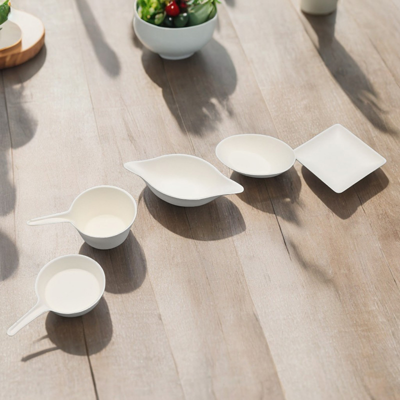 bagasse sauce dish1