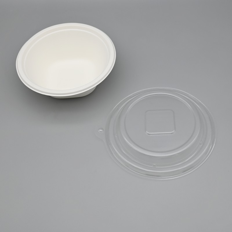 bagasse-square bottom bowl (10)