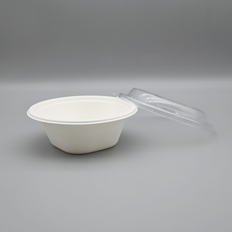bagasse-square bottom bowl (8)