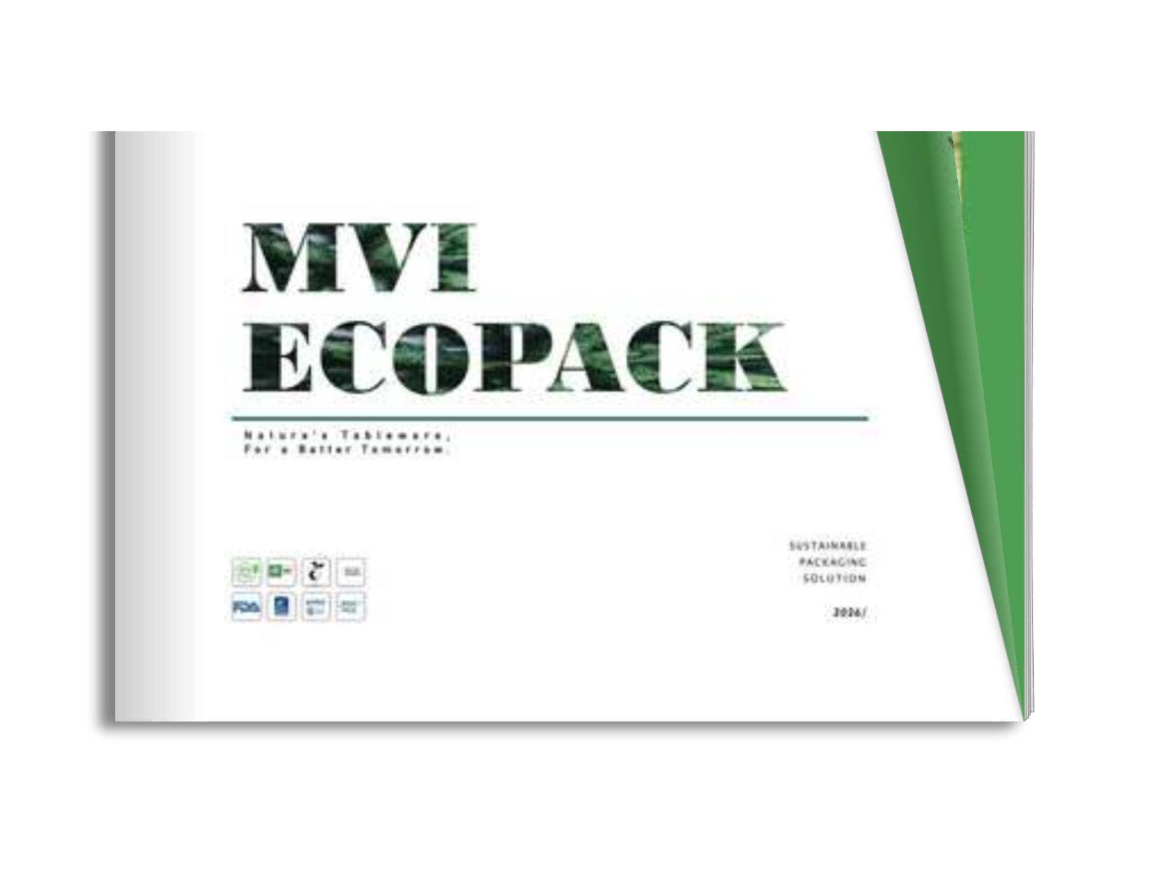 brochure 01