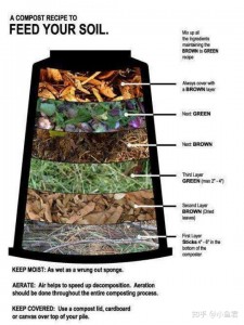 compost recipe