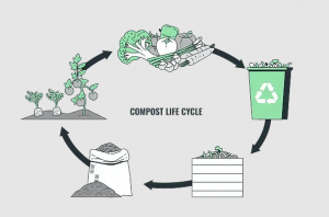 compostable of recycled