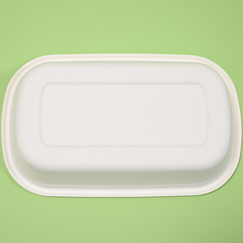compostable takeaway food container (12)