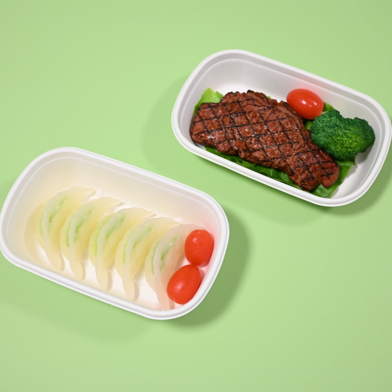 compostable takeaway food container (2)