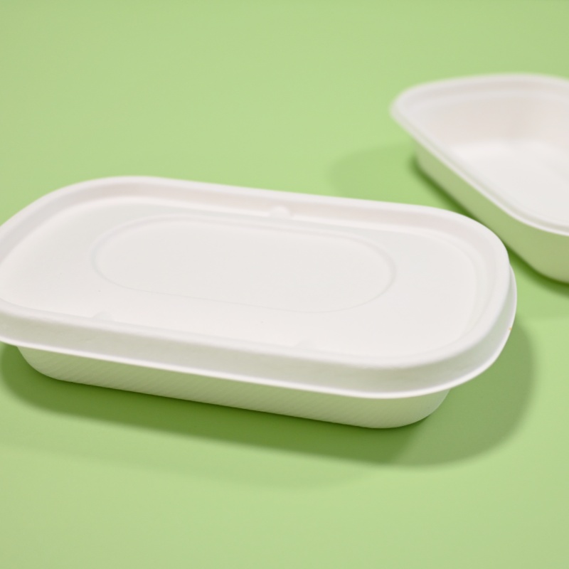 compostable takeaway food container (6)
