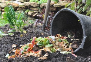 compostable vegetable rubbish