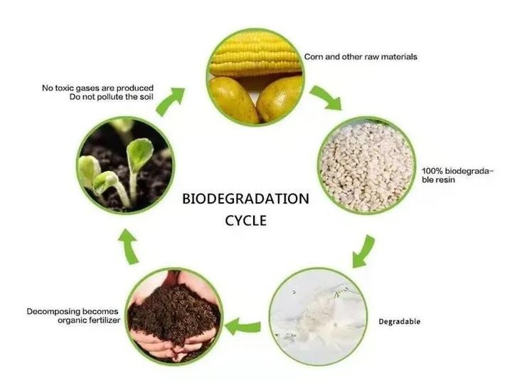 cornstarch biodegradable