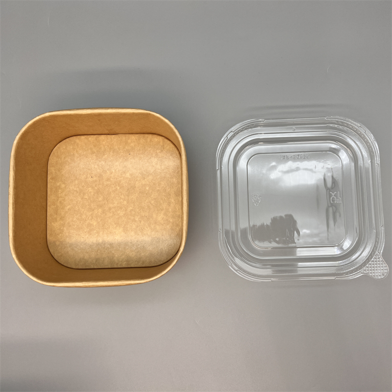 Eco Friendly Packaging Takeaway Takeout Square Salad Bowls Paper Food  Container with Lid - China Paper Bowls and Kraft Paper Bowl price