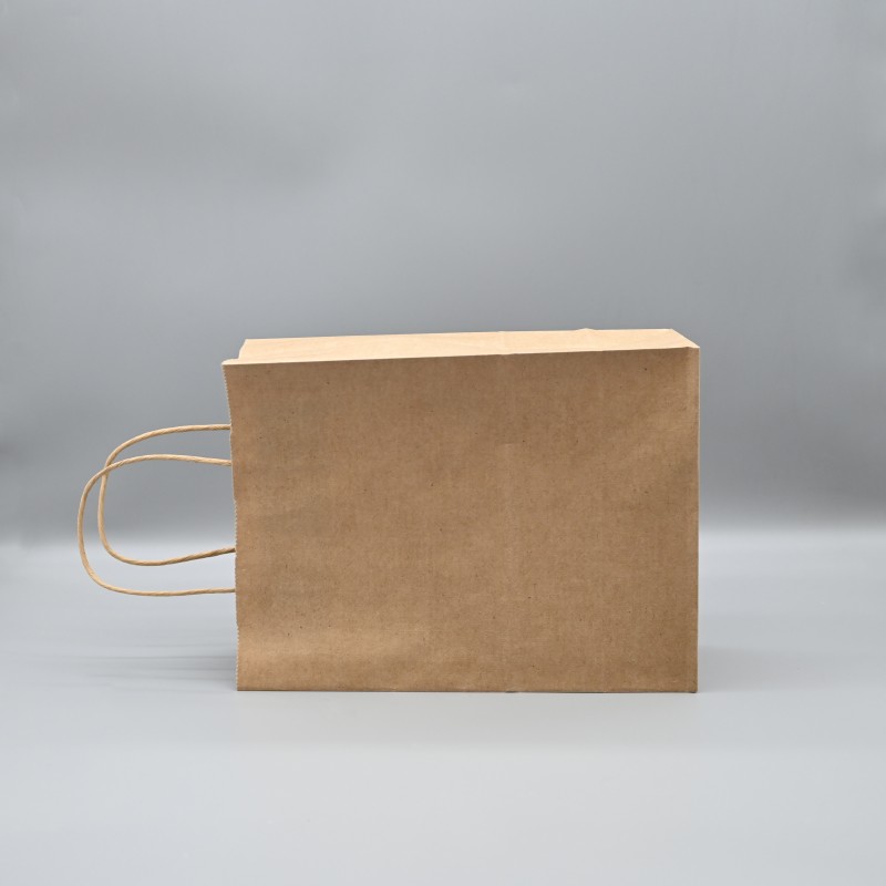 kraft paper bag (12)