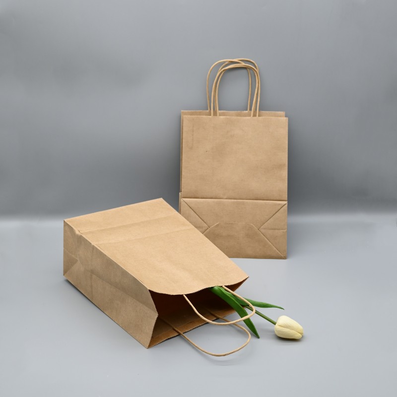 kraft paper bag (5)