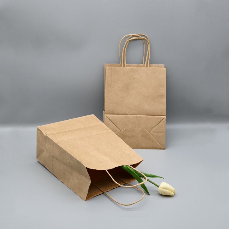 kraft paper bag (5)