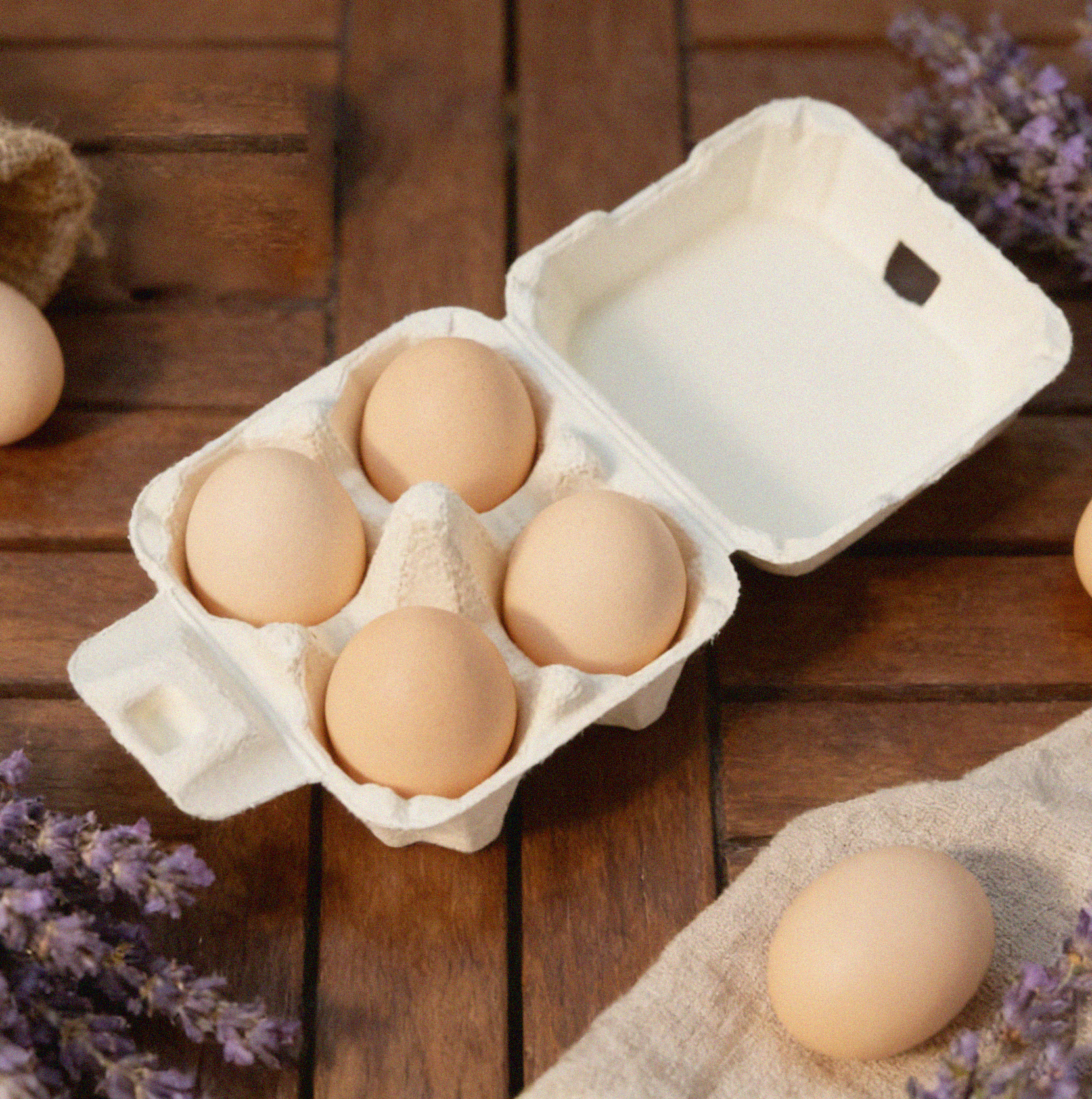 MVI Compostable Egg Cartons