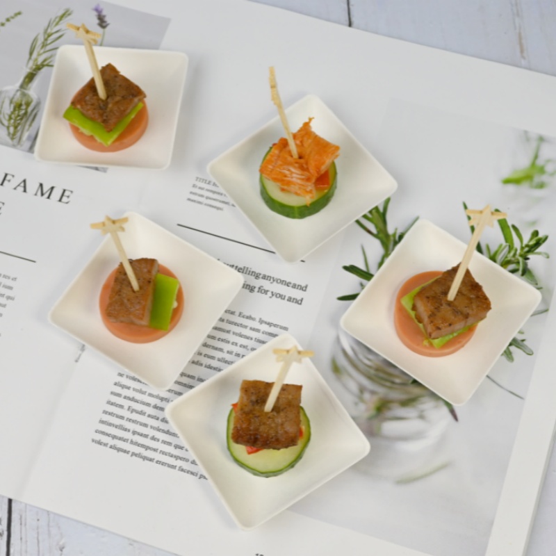 Sugarcane Mini Sauce Plates for Outdoor Catering