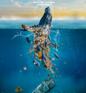 plastic invade ocean